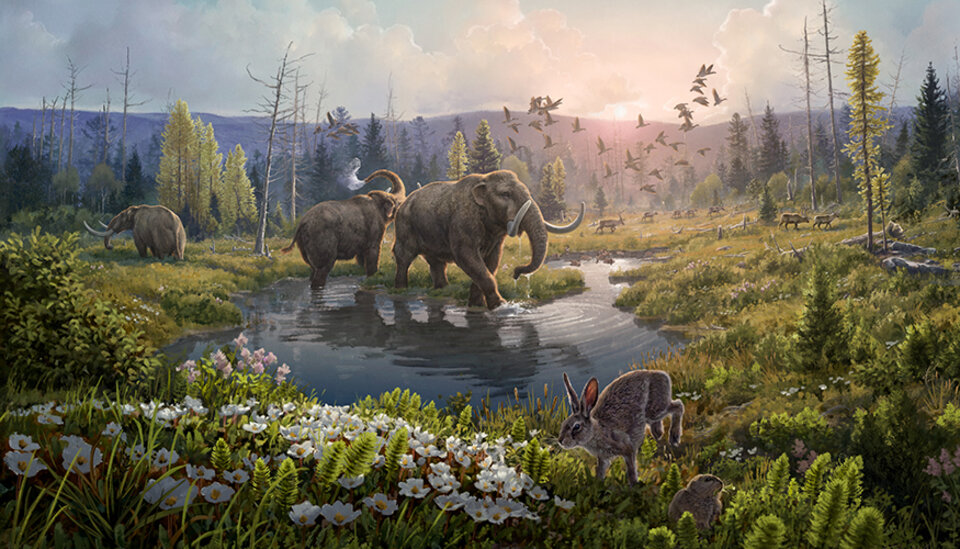 Greenland 2 million Years ago - Nature cover.